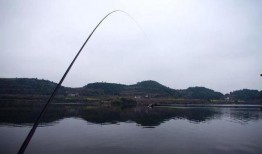 新瓜最新爆料钓鱼视频,钓鱼视频背后的惊人真相